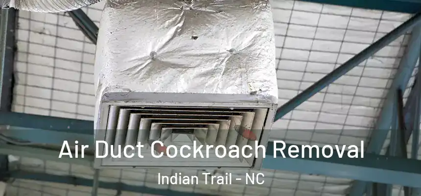 Air Duct Cockroach Removal Indian Trail - NC