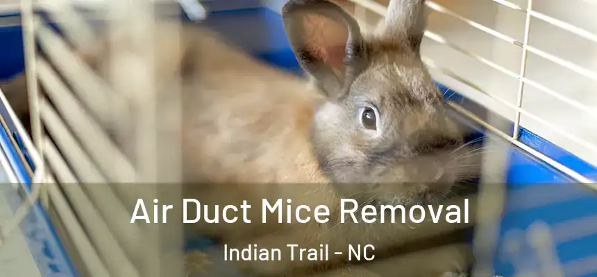  Air Duct Mice Removal Indian Trail - NC