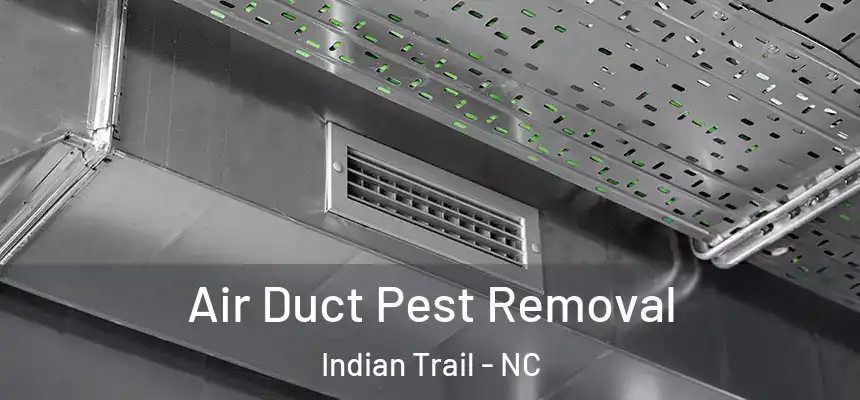 Air Duct Pest Removal Indian Trail - NC