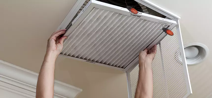 Preventive Cockroach-Proofing for Ducts in Indian Trail