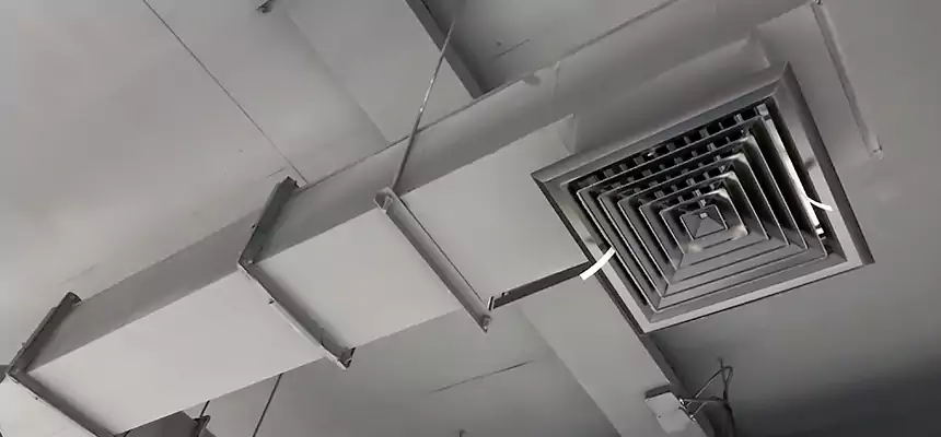 Our Rodent Droppings In Vents Services in Indian Trail, NC