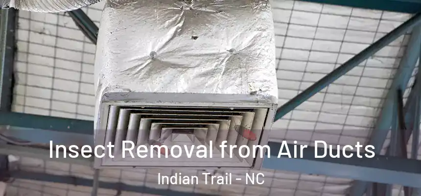 Insect Removal from Air Ducts Indian Trail - NC