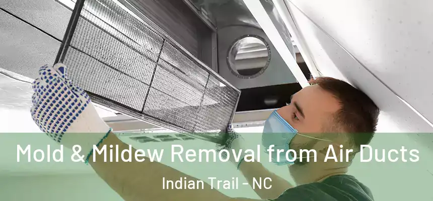 Mold & Mildew Removal from Air Ducts Indian Trail - NC