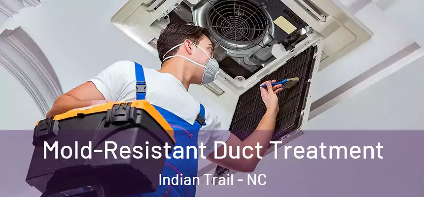 Mold-Resistant Duct Treatment Indian Trail - NC