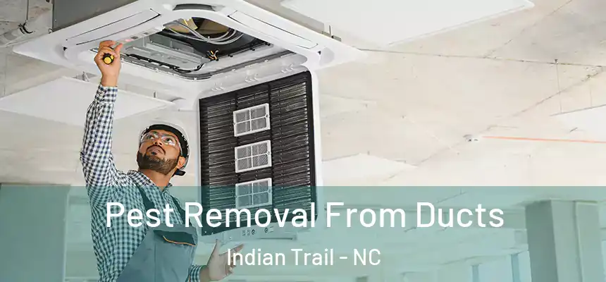 Pest Removal From Ducts Indian Trail - NC