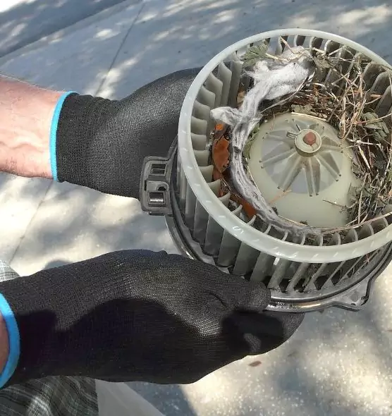 About Air Duct Mice Removal in Indian Trail, NC