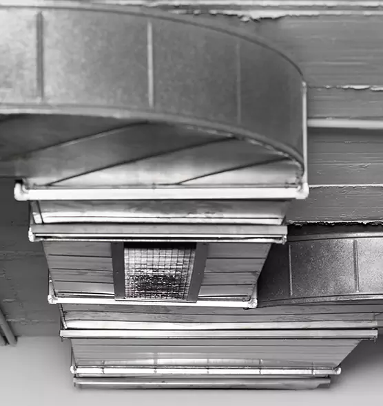 Professional Air Duct Pest Removal in Indian Trail, NC