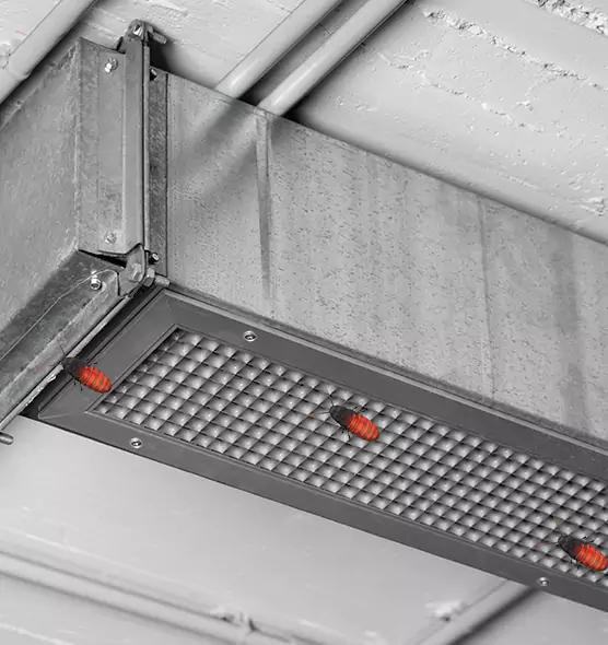 Affordable Insect Removal from Air Ducts in Indian Trail, NC