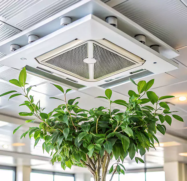 Why Homeowners & Businesses Trust Us in Indian Trail, NC